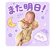 859250066