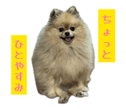 859250108