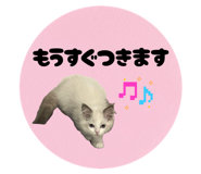 859250178