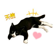859250599
