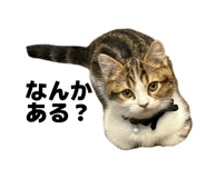 859250907