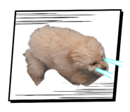 859250978