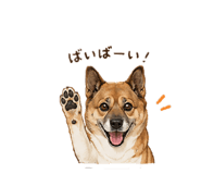 859251048