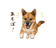 859251050