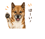 859251051