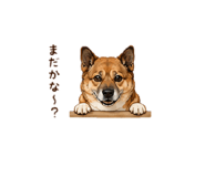 859251057