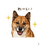 859251060