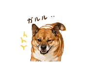 859251071