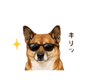 859251076