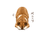 859251078