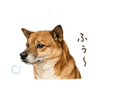 859251080