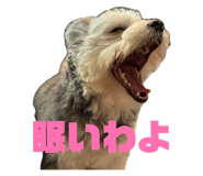 859251335