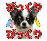 859251372