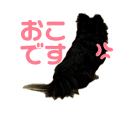 859251631