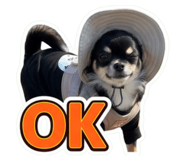 859251634