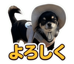 859251638