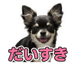 859251792