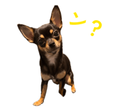 859251908