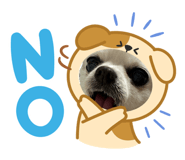 859251969