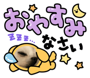 859251976