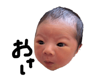 859252493
