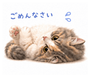 859252628