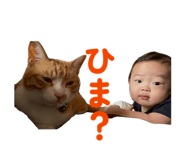 859253115