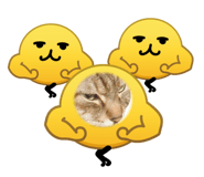 859253148