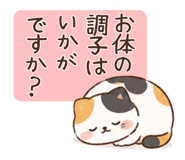 859253356
