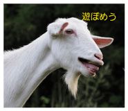 859253498