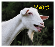 859253500