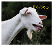 859253502