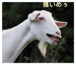 859253503