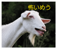 859253504
