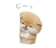 859254107