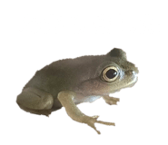 859254558