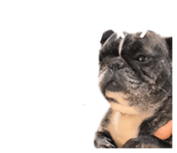 859254561