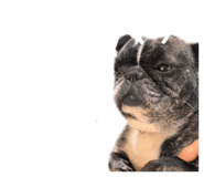 859254561