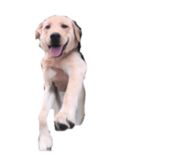 859254570
