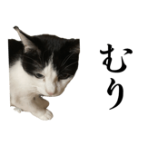 859254618