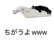 859254621