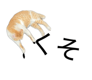 859254625