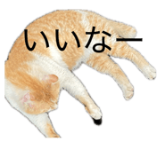 859254632