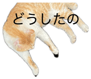 859254633