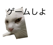859254642