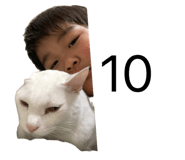 859254655