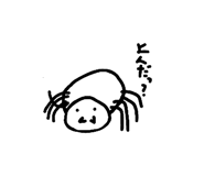859255089