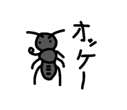 859255093