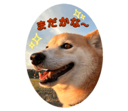 859255170