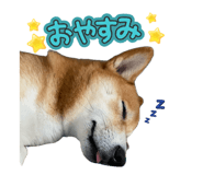 859255172